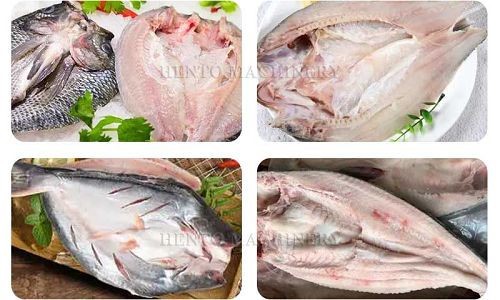 fish back open machine(001)