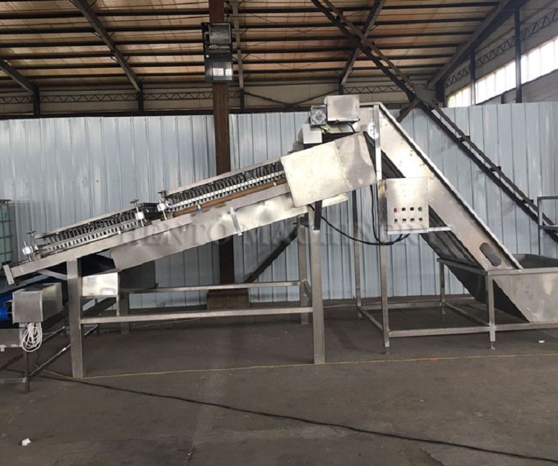 shrimp prawn peeler(001)