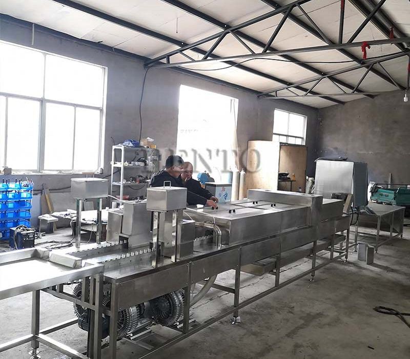 egg washer line(001)