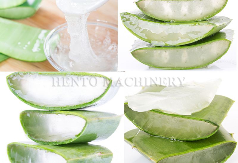 Aloe Vera Skin Peeler(001)