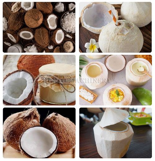 coconut sheller machine001