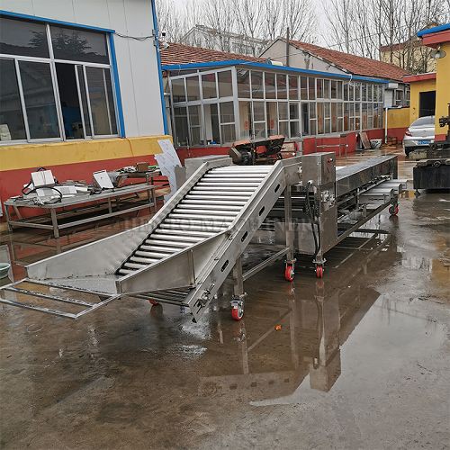 Electric Orange Sorting Machine001 Electric Orange Sorting Machine001