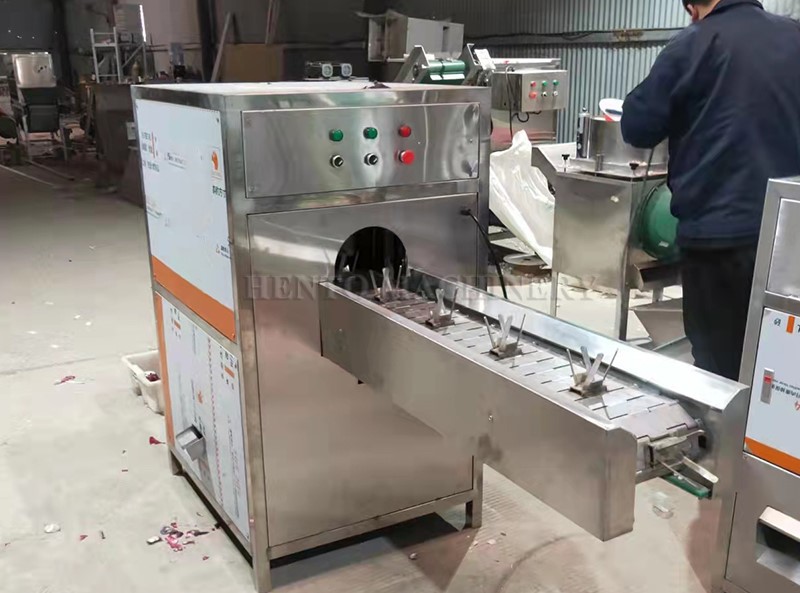 onion peeler machine
