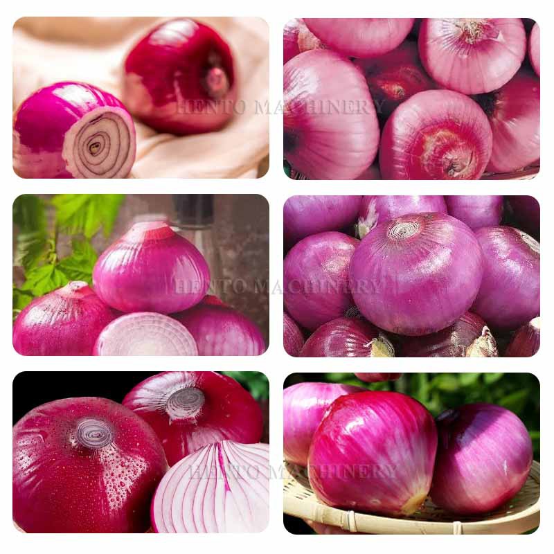 peeling machine for onions peeling machine for onions