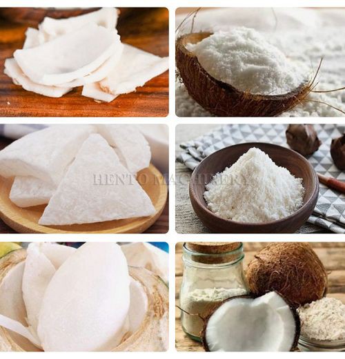 Electric Coconut Meat Grinder Machine001 Electric Coconut Meat Grinder Machine001