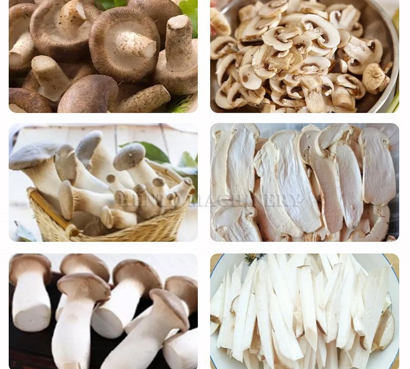 Mushroom Slicing Cutting Machine