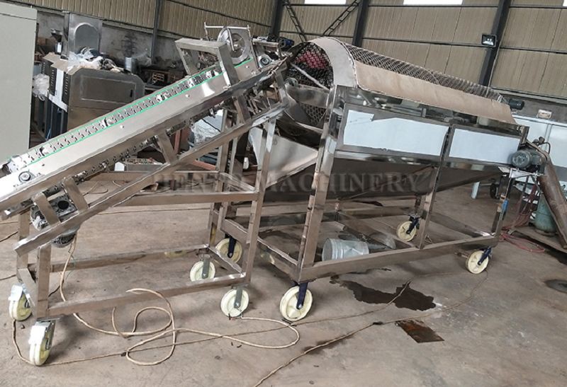 Coffee Bean Peeling Machine001