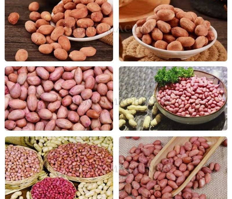 Peanut De-oiling Machine001