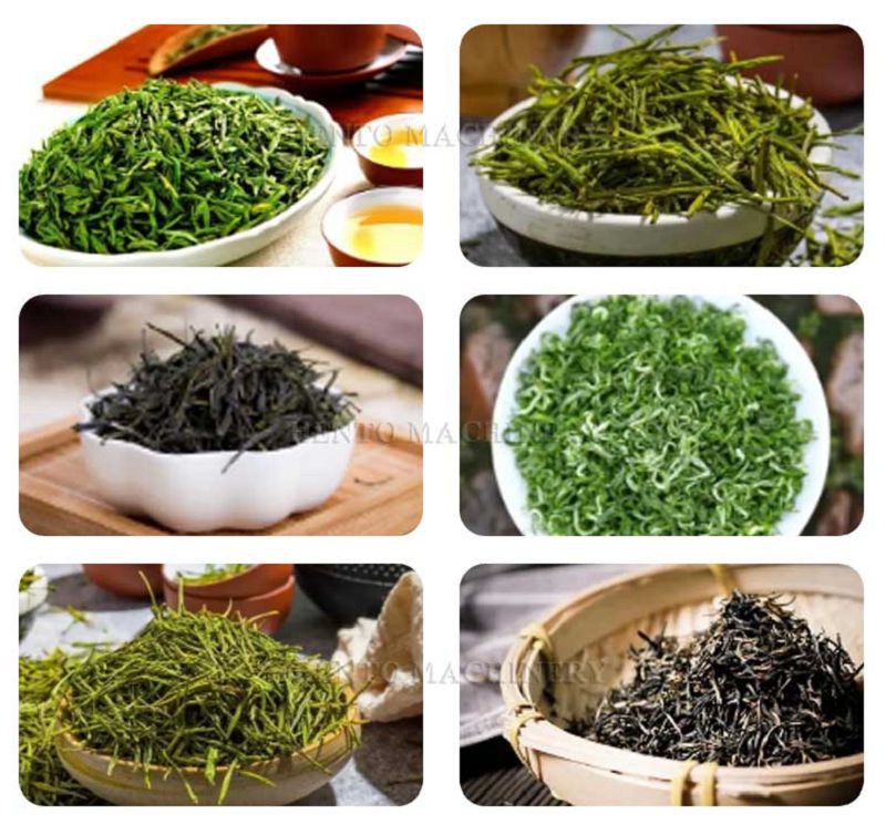 Electric Tea Kneading Machine001 Electric Tea Kneading Machine001