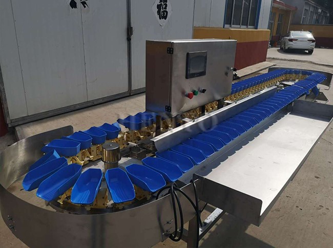 Electric Shrimp Sorting Machine Weighting