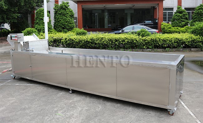 Citrus Fruit Washing Machine