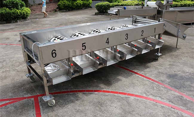 Drum Sorting Machine Drum Sorting Machine