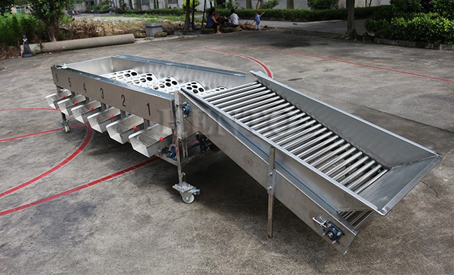 Industry Citrus Cleaning Sorting Machine