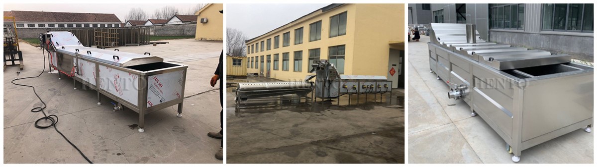 Carrot Potato Blanching Machine