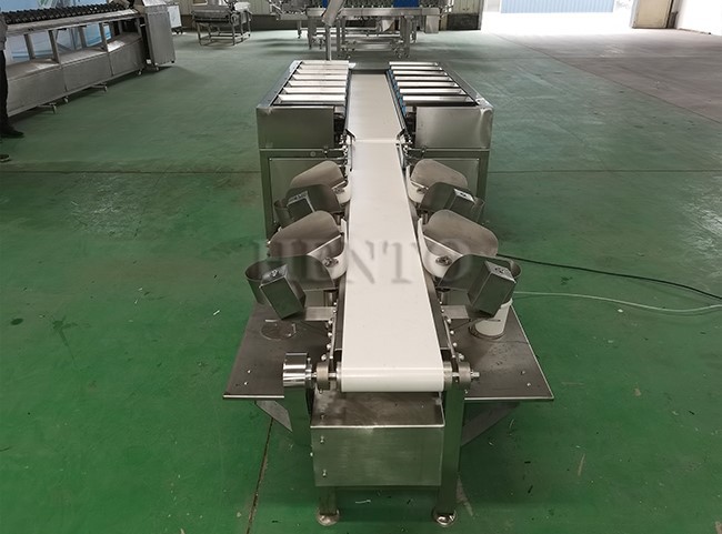 Combination Weigher