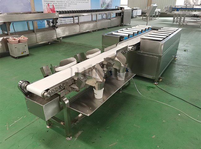 Conveyor Belt Combination Scale