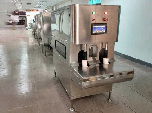 Automatic Pineapple Peeling Machine