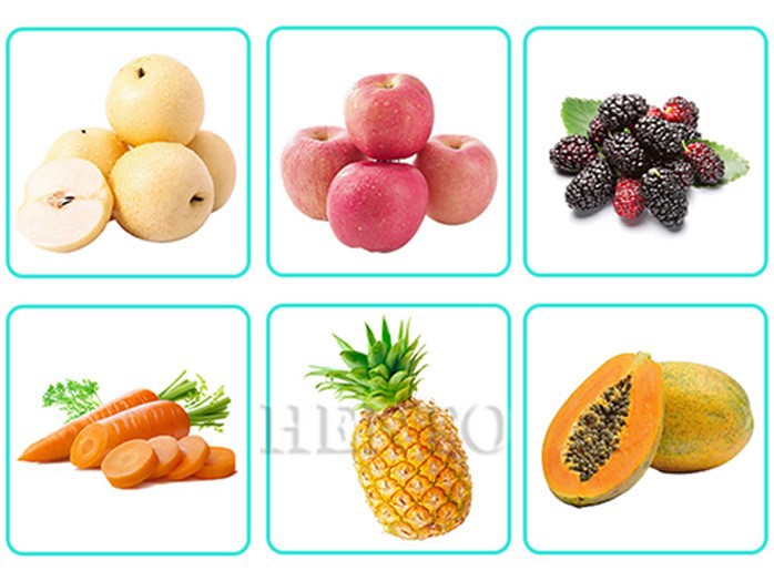 Apple Tomato Crushing Machine