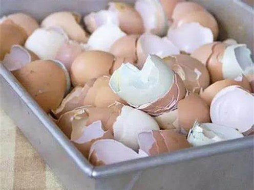 Electric Breaking Egg Machine