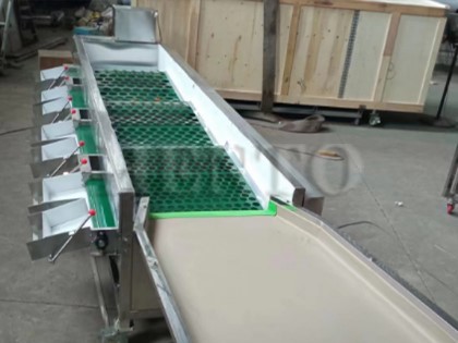 sorting machine for fruites sorting machine for fruites