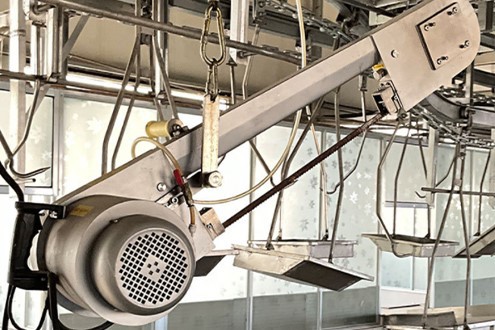 Pig Carcass Half Cutting Machine Pig Carcass Half Cutting Machine