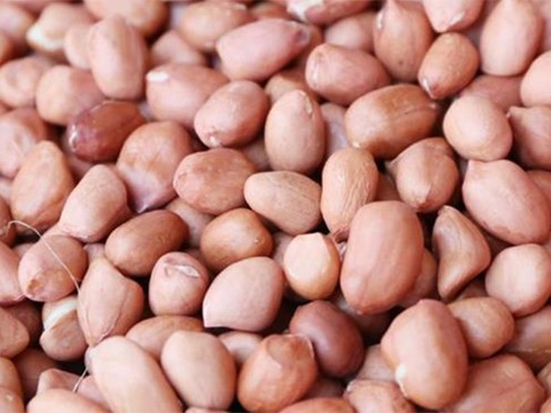 Peanut Seed Grading Machine Peanut Seed Grading Machine