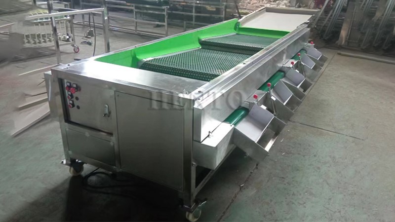 Electric Blueberry Sorting Machine