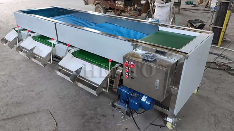 Blueberry Size Grading Machine