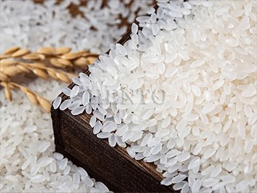 Rice Grain Color Sorter Rice Grain Color Sorter