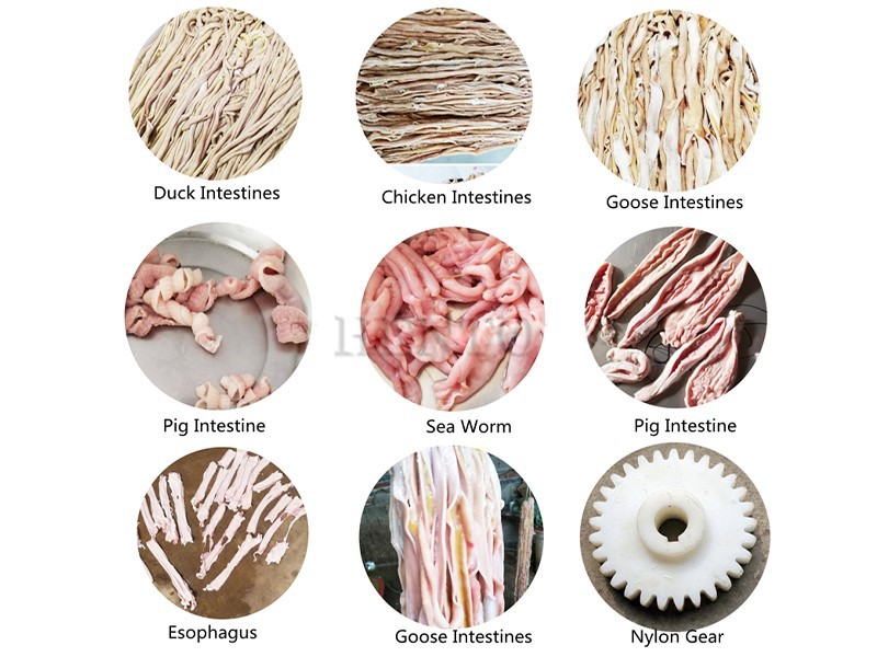 chicken intestine dissector machine chicken intestine dissector machine