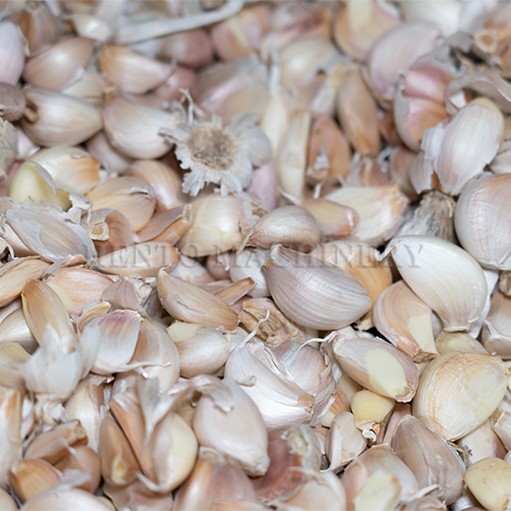 Separating Garlic Machine Separating Garlic Machine