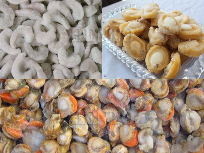 Tunnel Blast Freezer