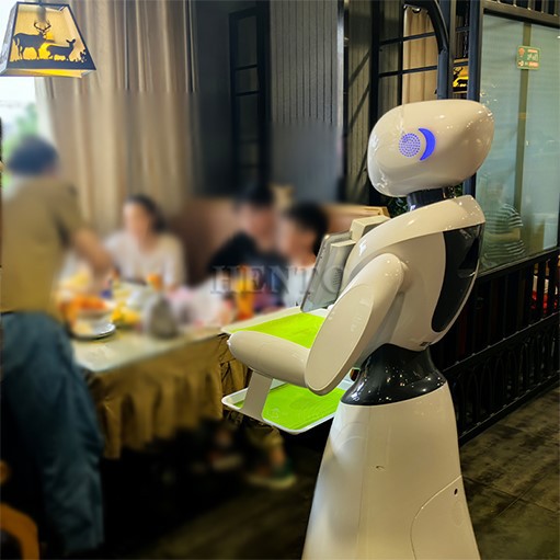 Delivery Food Robot Delivery Food Robot