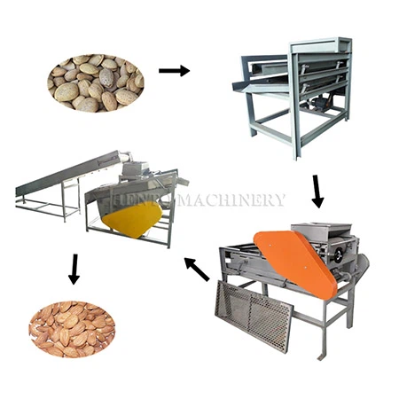 Almond Sheller and Separator Processing Line