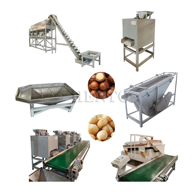 Almond Shelling Processing Line