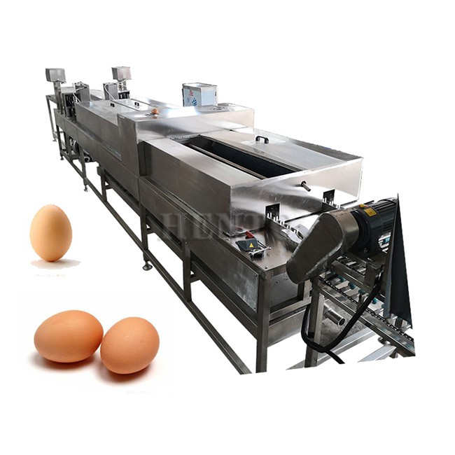 Egg Washing and Drying Machine