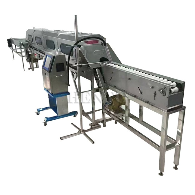 Duck Egg Weight Sorting Equipment