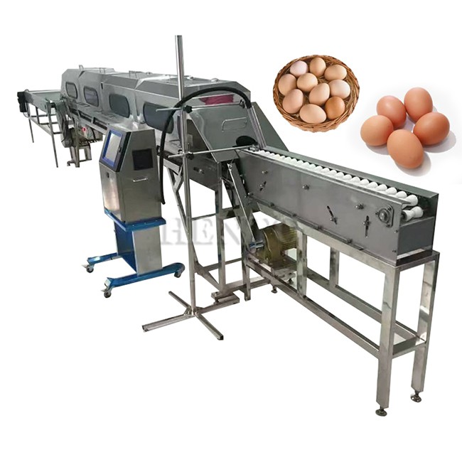 Chicken Egg Sorting Machine