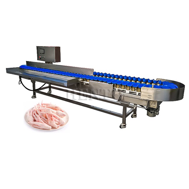 Oysters Grader Machine