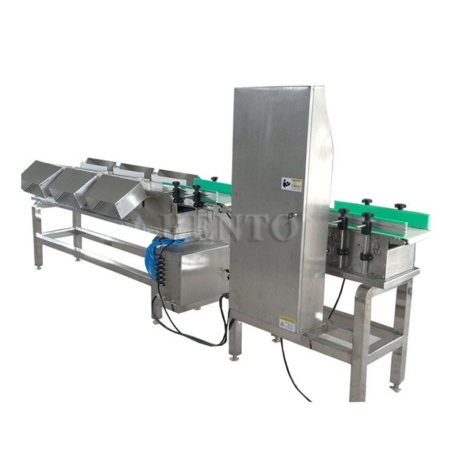 Chicken Grader Machine