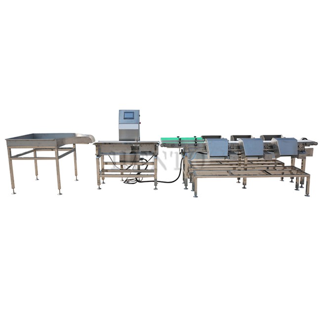 Chicken Grading Machine by Weight