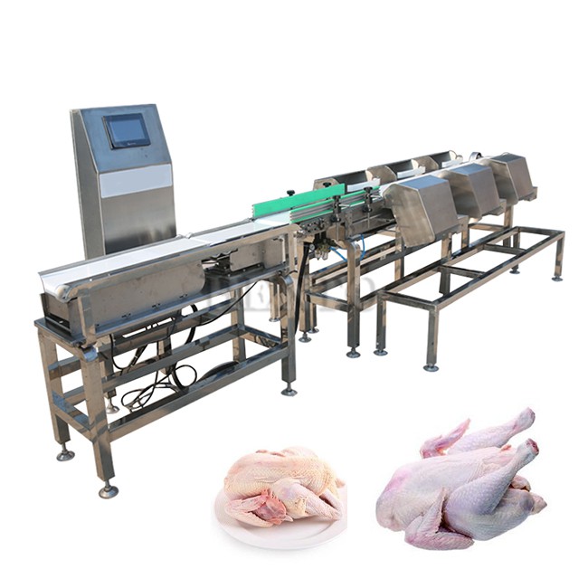 Chicken Grading Machine