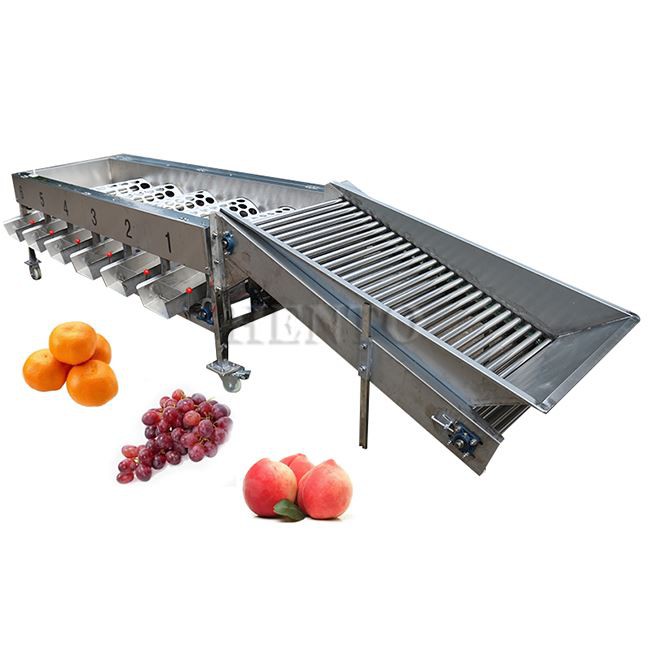 Citrus Cleaning Sorting Line
