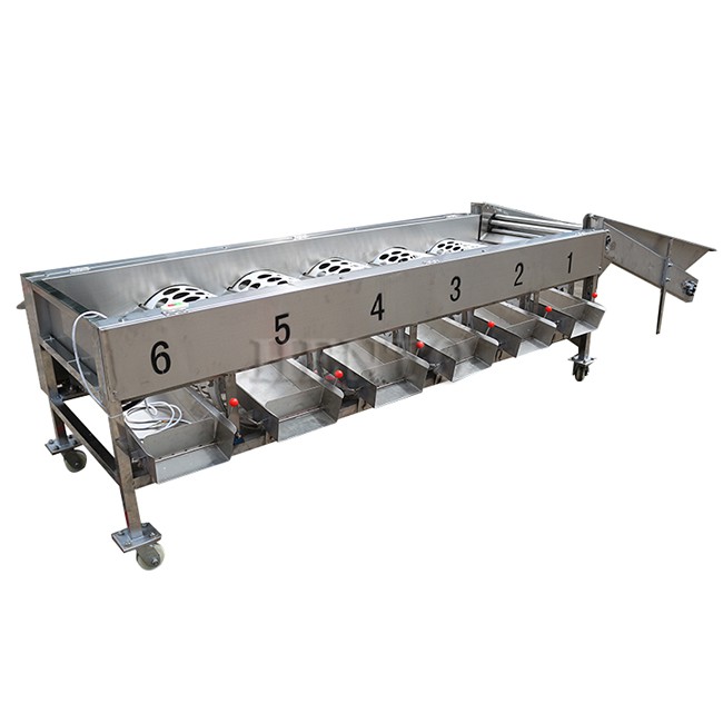 Citrus Cleaning And Sorting Line