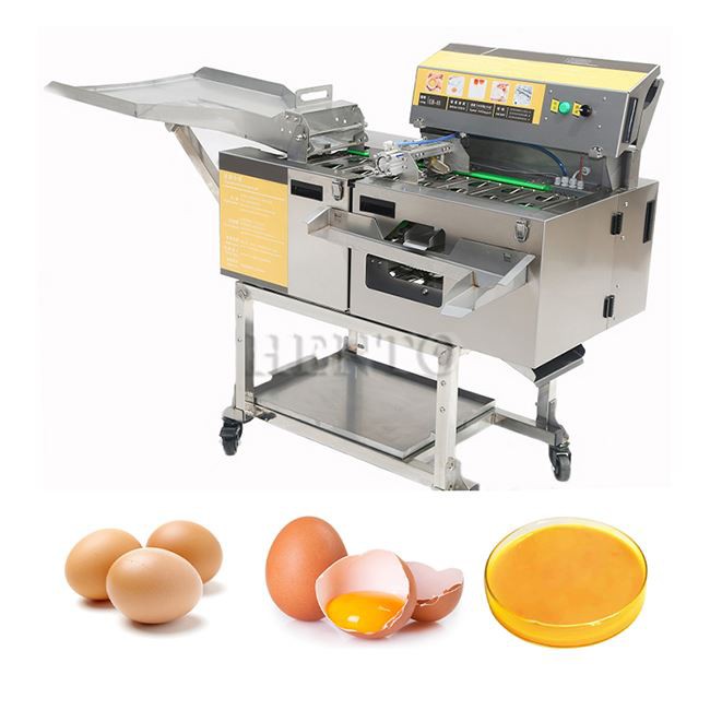 Egg Breaker and Yolk Separator Machine factory