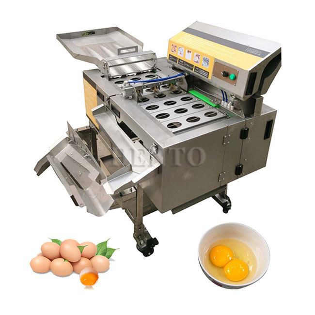 Egg Breaker and Yolk Separator Machine best