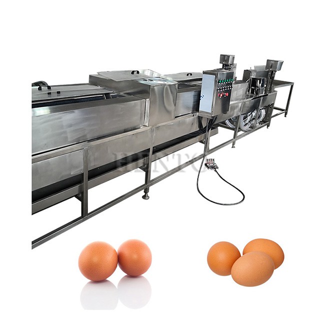 Egg Washer Machine