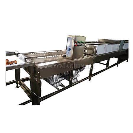Egg Washing Production Line