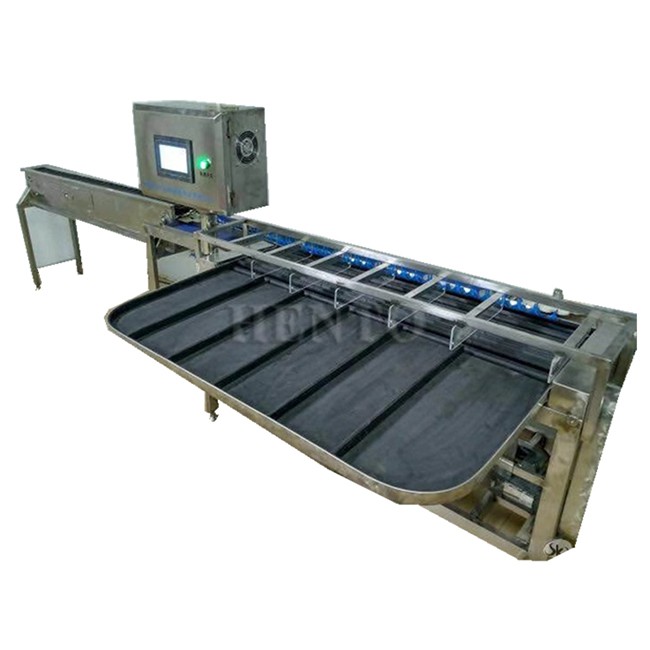 Duck Egg Grader Machine