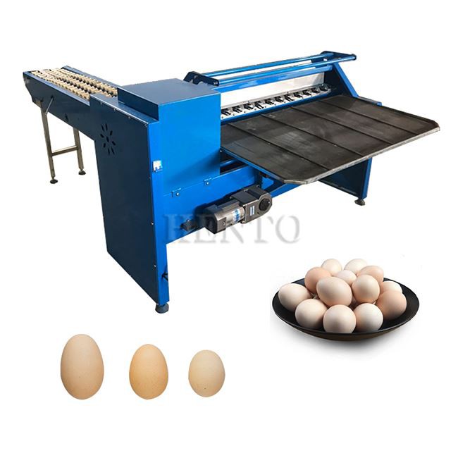 Egg Grading Machine